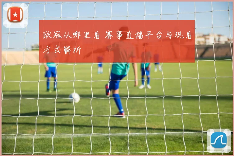 欧冠从哪里看 赛事直播平台与观看方式解析