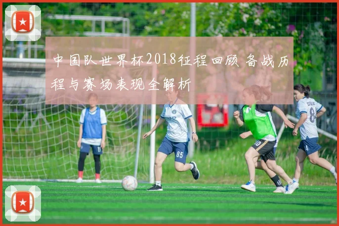 中国队世界杯2018征程回顾 备战历程与赛场表现全解析