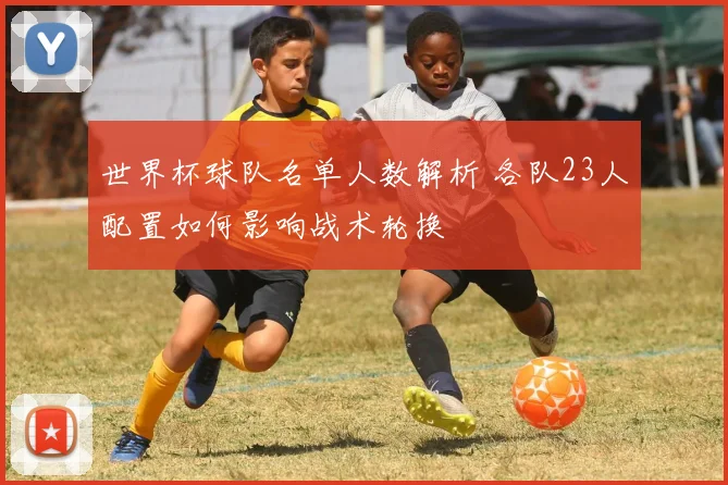 世界杯球队名单人数解析 各队23人配置如何影响战术轮换