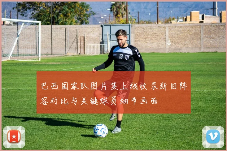 巴西国家队图片集上线收录新旧阵容对比与关键球员细节画面