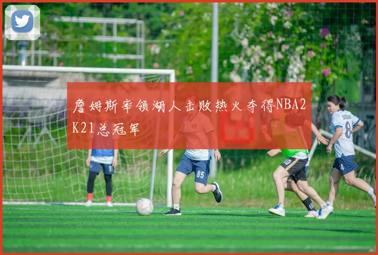 詹姆斯率领湖人击败热火夺得NBA2K21总冠军