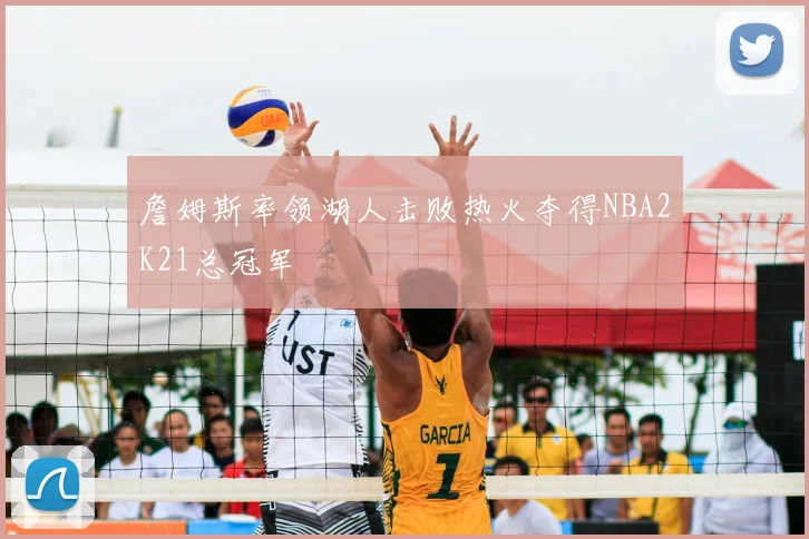 詹姆斯率领湖人击败热火夺得NBA2K21总冠军