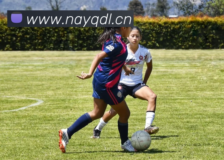 emc体育官网登录发展历程